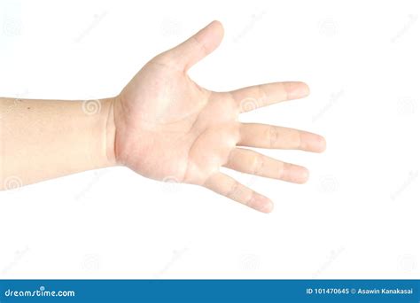 Hand Isolated On White Background Stock Image Image Of Body Beauty