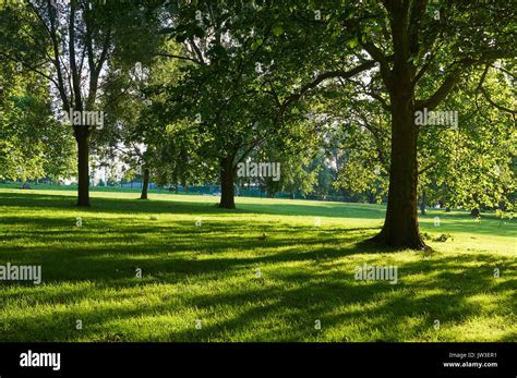 Finsbury Park Hi Res Stock Photography And Images Alamy