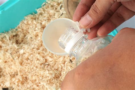 How To Make Hamster Food Water And Bedding Choices 7 Steps