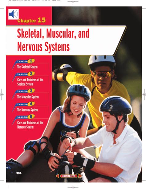 Chapter 15 Skeletal Muscular And Nervous Systems