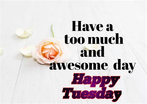 Happy Tuesday Images Wishes Wallpaper Quotes For Whatsapp Facebook