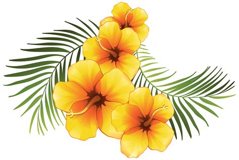 Exotic Flower Clipart At Getdrawings Free Download