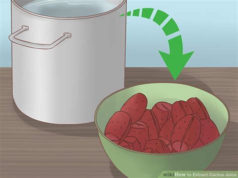 So, why not try it by yourself. 3 Ways to Extract Cactus Juice - wikiHow