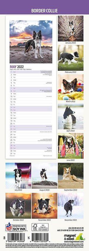 Border Collie Kalender 2022 Slimline