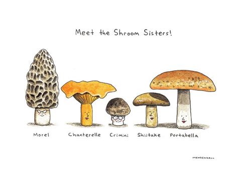 Mushroom Art Print Funny Food Art Funny by DrawnFromMyBrain