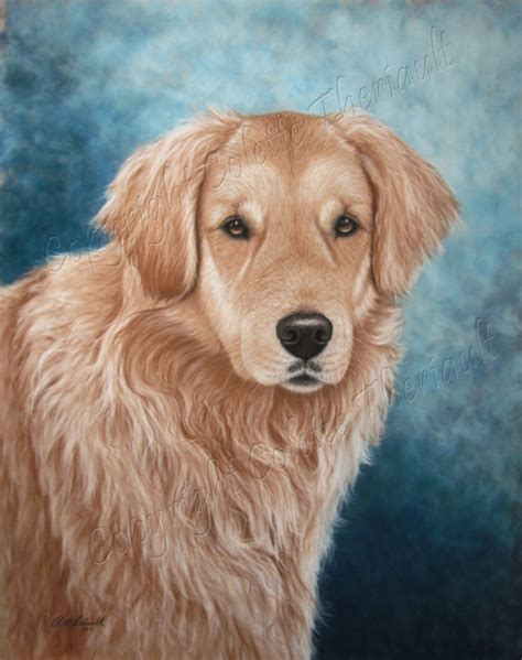 Golden Retriever Dog Portrait Painting In Pastel Commissioned Paintings