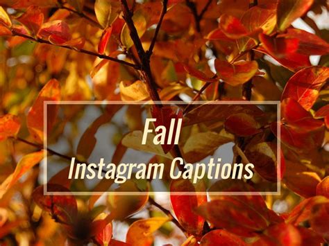 100 Best Fall Instagram Captions Short Cute Simple Funny Ig Quotes