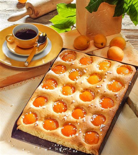 Dieser saftiger fluffige pfirsichkuchen, der. Versunkener Aprikosenkuchen vom Blech - Rezept ...
