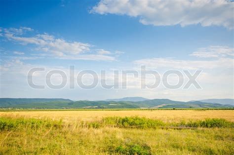 Dull Countryside Landscape In Summer Stock Image Colourbox