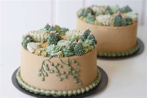 See more ideas about cake, cupcake cakes, cake inspiration. Succulent Cake - Rollpublic