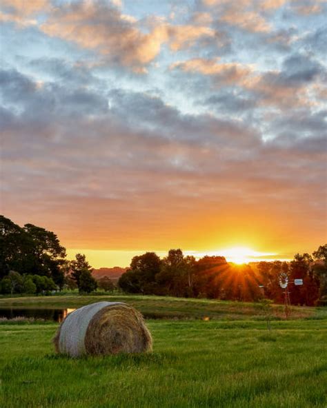 Hay Field Sunset Stock Photos Pictures And Royalty Free Images Istock