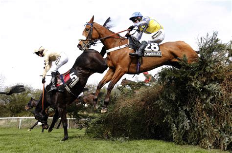 A map of the race day set up. Ladies day at the Grand National: high heels, beer and horses