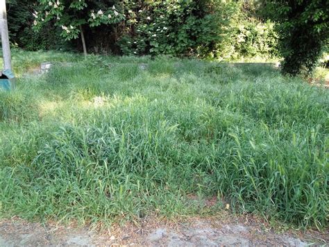 Διάβασε τώρα όλα τα τελευταία νέα από την ελλάδα και τον κόσμο και ενημερώσου άμεσα για τις τελευταιεσ ειδησεισ. Πάρκο Λακκωμάτων: μετά τις κοπές δέντρων, ουδέν νεότερο ...