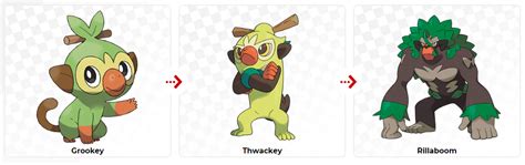 Grookey Evolutions