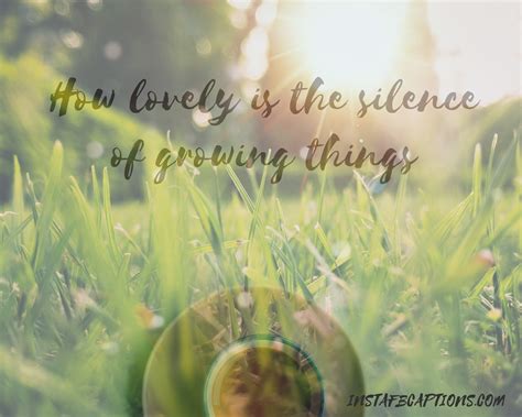 We did not find results for: 150+ Seasonal Instagram Captions for Spring || (Cherry ...