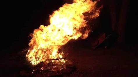 Burning A Pine Tree Youtube