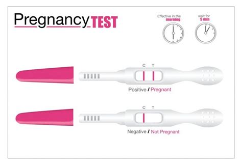 Negative Pregnancy Test But No Period False Negative Pregnancy Test