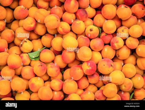 Kashmir Fruits Hi Res Stock Photography And Images Alamy