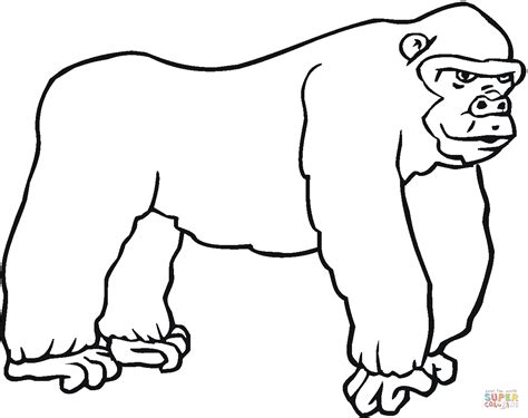 Gorilla 7 coloring page Free Printable Coloring Pages