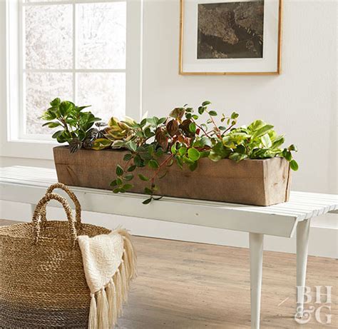 27 Easy Houseplants To Grow Better Homes And Gardens