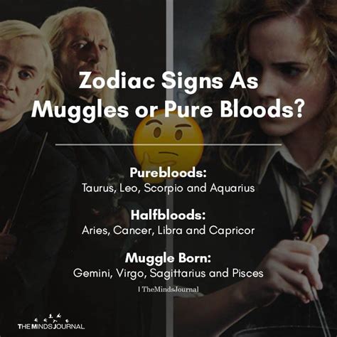 Zodiac Signs As Muggles Or Pure Bloods Zodiac Signs Harry Potter