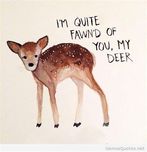 17 Best Images About Oh Deer On Pinterest Funny Love Get Well And
