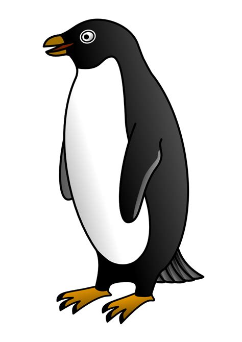 Penguins Clipart Png Picpng