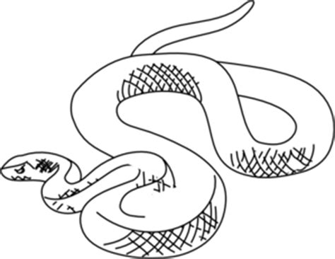 Snake Black And White Clip Art Clip Art Library