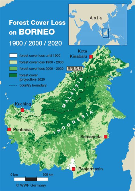 Borneo Forest Loss Wwf The Borneo Project