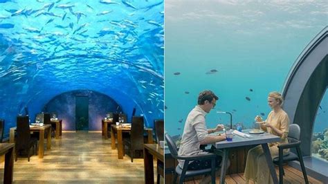 an underwater restaurant has opened in the maldives and it looks amazing hello