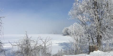 Guests have access to a terrace and a bbq area. Lakeside Inn (Orillia): What to Know BEFORE You Bring Your ...