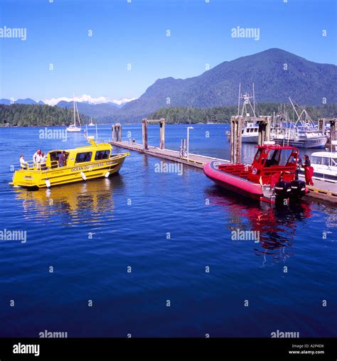 Whale Watching Boats In The Harbour Of Tofino On Vancouver Island