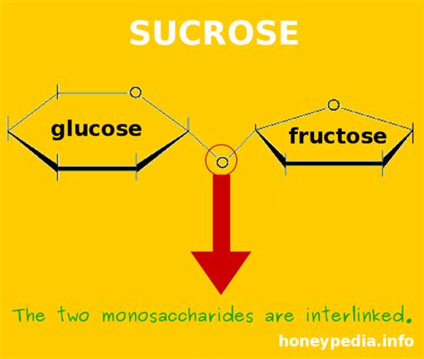 How Does Invert Sugar Differ From Glucose Quora