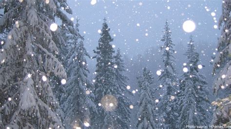 Interesting Facts About Winter Just Fun Facts