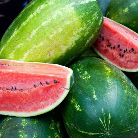 18 different types of melon must have varieties dre campbell farm
