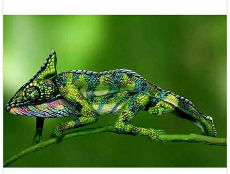This Is Not A Chameleon Its A Hyperrealistic Body Painting On Two