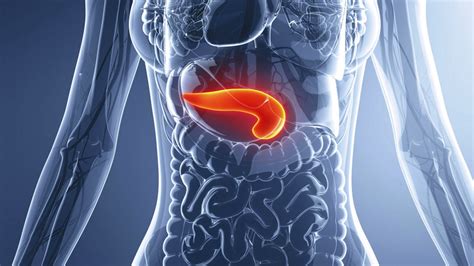 Start here to find information on pancreatic cancer treatment, research, and statistics. Pancreatic Cancer: Know Everything About It ...