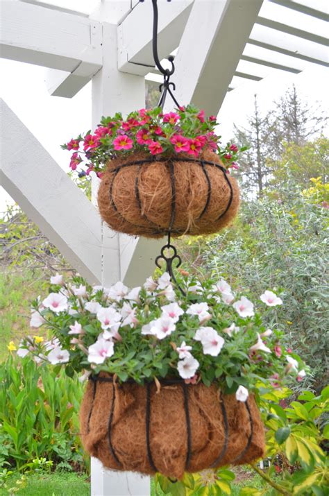 Entertaining From an Ethnic Indian Kitchen: Hanging Baskets