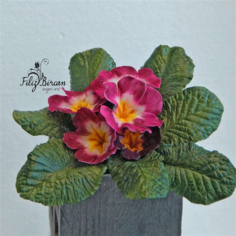 Check spelling or type a new query. Pin by Violeta Quanah on Sugar Flowers | Sugar flowers ...