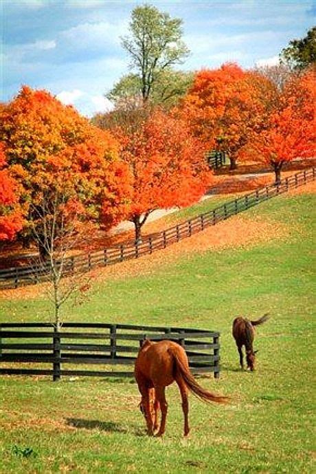Kentucky Autumn Autumn Scenery Fall Pictures Beautiful Landscapes