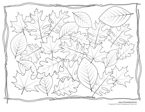 Leaf Coloring Page - Tim's Printables