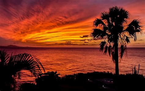 Colorful Sunset Palm Trees Ocean Horizon Romantic Sunset Wallpapers Hd