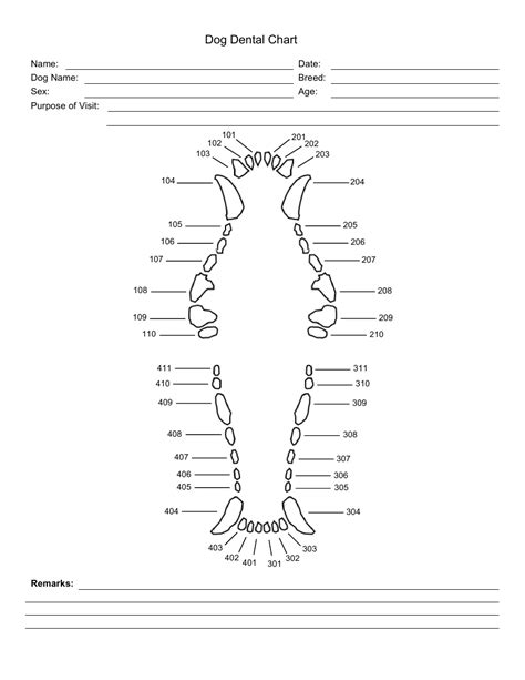 Dog Dental Chart Template Download Printable Pdf Templateroller