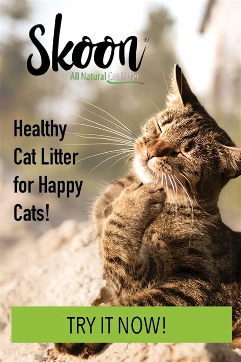 Do maine coon cats even use small litter boxes? Skoon All Natural Cat Litter! | Natural cat litter, Cat ...