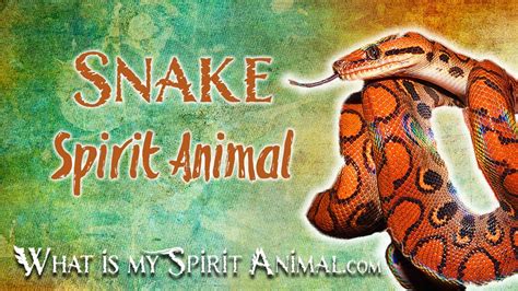 Snake Spirit Animal Snake Totem And Power Animal Snake Symbolism