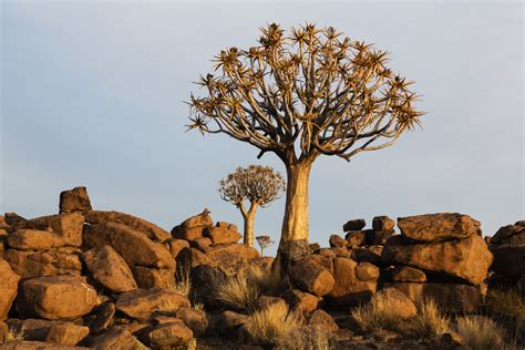 Namibia Full Circle Tour And Workshop Jim Cline Photo Tours