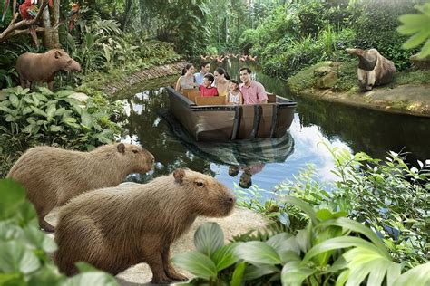 Safari Best Things To Do In Singapore