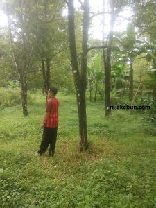 Yesterday at 1:07 am ·. Hutan Desa Setianegara / Setianegara adalah desa di kecamatan cilimus, kuningan, jawa barat ...