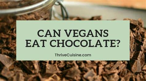 Can Vegans Eat Chocolate? Here’s What You Should Know…