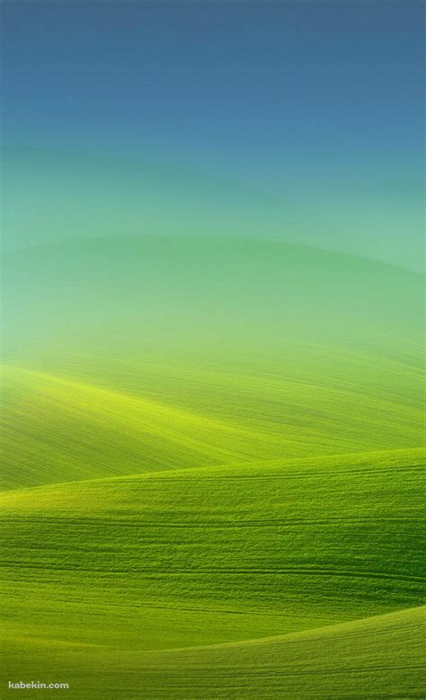 綺麗な緑の丘陵のandroid用のスマホ壁紙1080 X 1776 壁紙キングダム